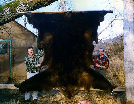 Hunters with Bear Skin, Big Game Hunting, Fairbanks, AK